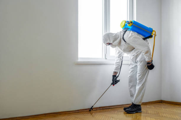 Best Emergency Pest Control  in Eleanor, WV